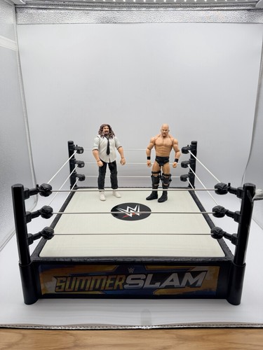 2010 wwe summerslam wrestling - wwe,