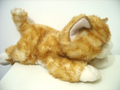 Nature babies ginger tabby - babies,