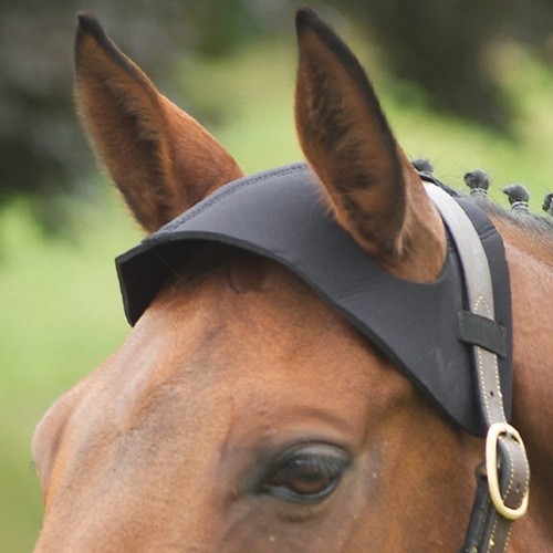 Equestrian poll guard - equestrian,