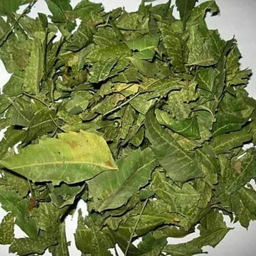 Organic dried whole - dried, neem