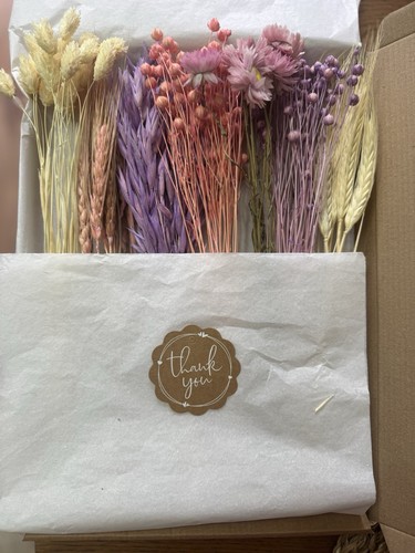 Posy bouquet stems dried - 60,