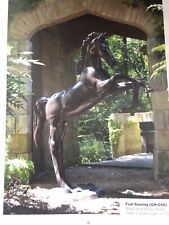 Horse Statue Foal Garden Stable Yard Sculpture  Statue Aluminium  Bronze Effect