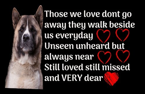Akita memorial poem - akita,