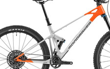 Frame Pivot Bearing Kit |