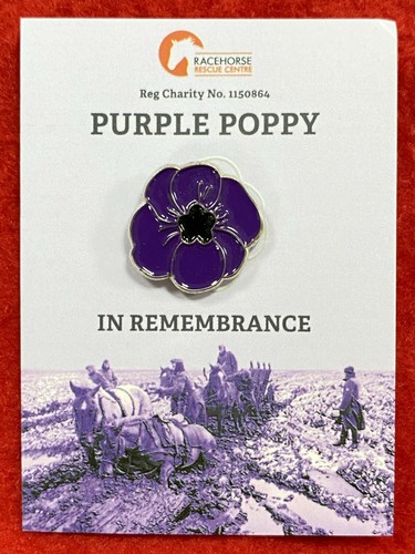Purple poppy original charity - poppy,