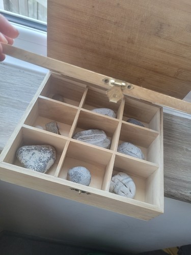Wooden glass display box with - glass,