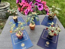 RARE Franklin Mint House of