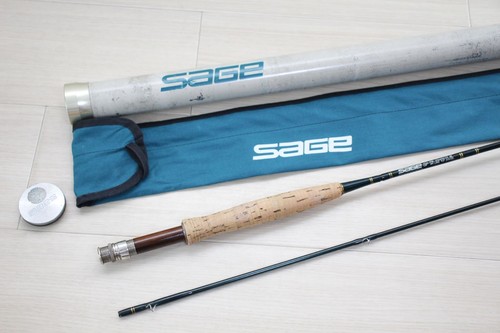 Sage 490 graphite - sp, 4wt