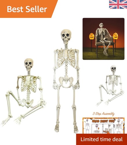 Durable life size skeleton - durable,