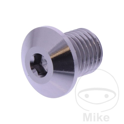 Blanking plug mirror thread - plug,
