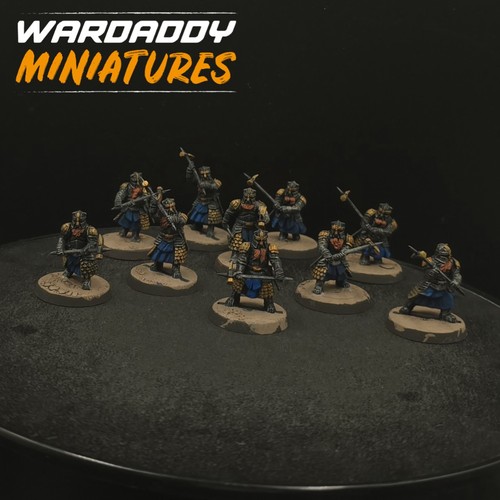 Pro painted warhammer lotr - warhammer,