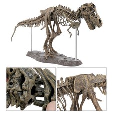 Dinosaur Skeleton Cool PVC