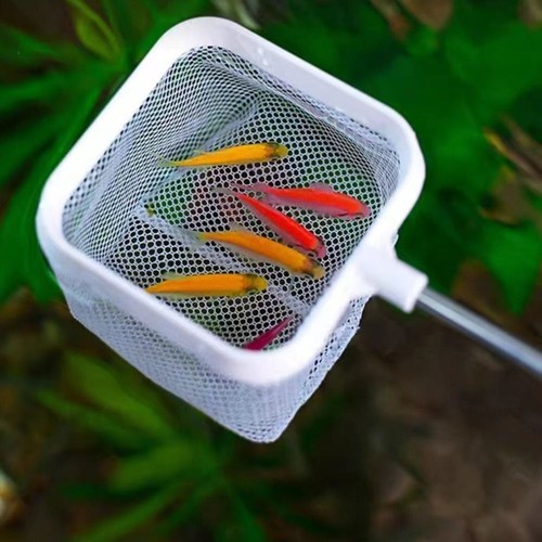 Stainless steel fishing shrimp - steel,
