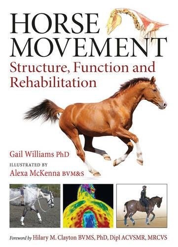 Horse movement structure - horse,
