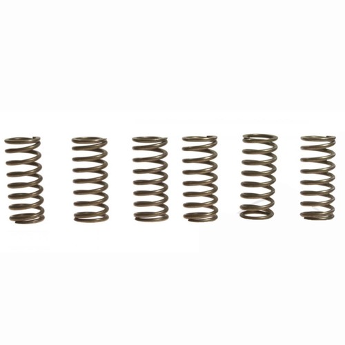 Ebc clutch springs csk006 for - clutch,