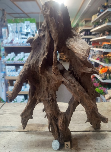 Large mangrove 54cm - mangrove, 36-54cm