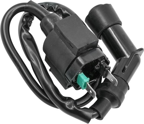Ignition coil for - ignition,
