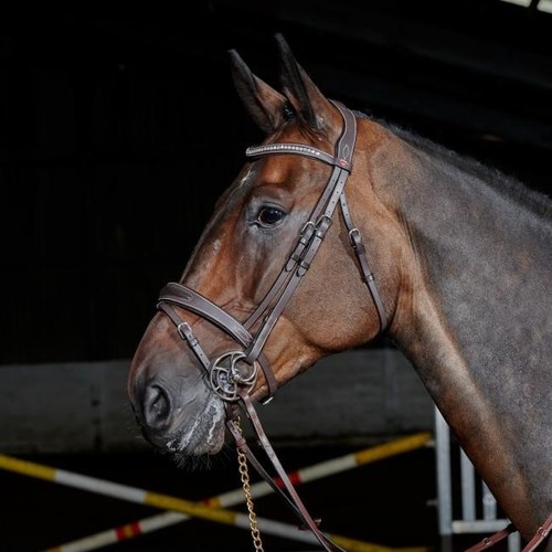 John whitaker chicago - whitaker,