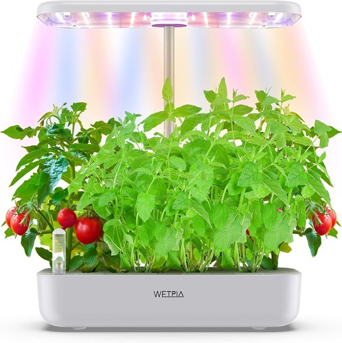 Indoor hydroponic growing - hydroponic,