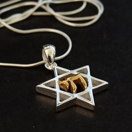 Star david chai - star, necklace