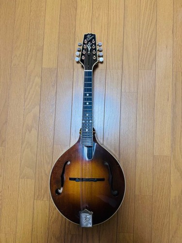 Gibson mandolin 1989 - a-5l,
