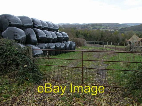 Silage bales above pontrilas - silage,