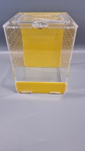 Yellow mantis medium - yellow,