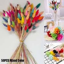 50Pcs Rabbit Tail Grass Bunny