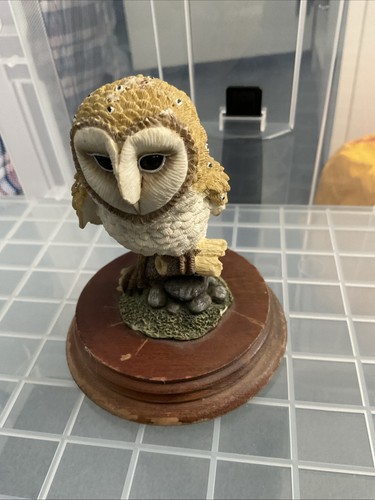 Barn owl leonardo 1991 - owl,