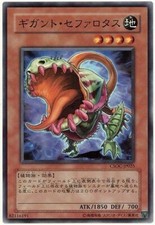 CSOC-JP025 - Yugioh - Japanese - Gigantic Cephalotus - Common
