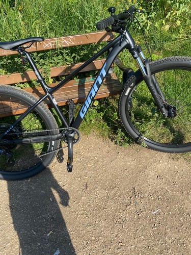Giant talon 2024 large - giant,