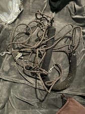 Pessoa Style Training Lunging