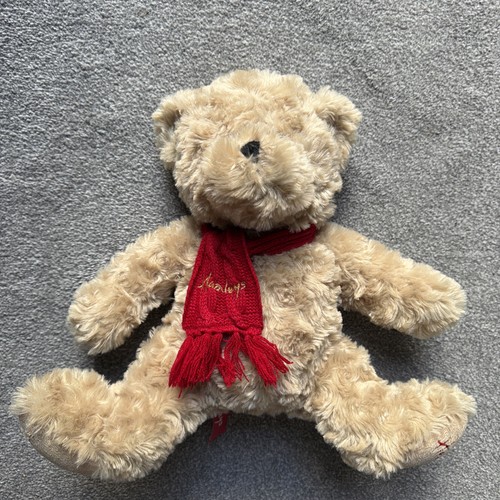 Hamleys london teddy - london, 15