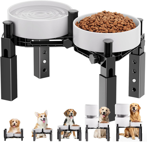 Dog bowl stand elevated food - bowl,