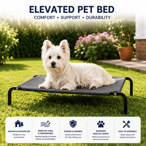 Elevated dog bed - bed, pet