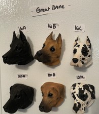 All Colors Great Dane Dog