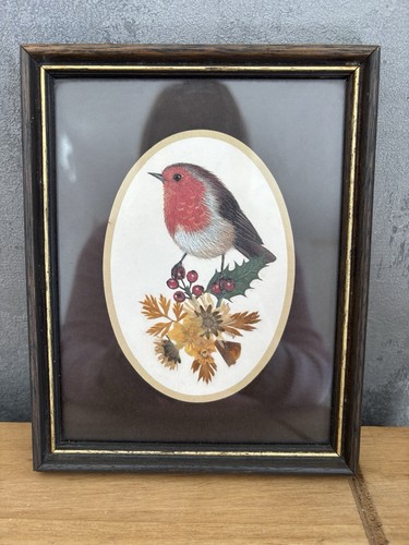 Vintage watercolour robin - watercolour,