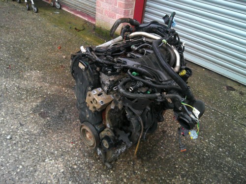 Peugeot expert dispatch scudo - expert,