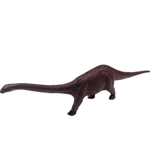 Invicta cetiosaurus dinosaur - cetiosaurus,