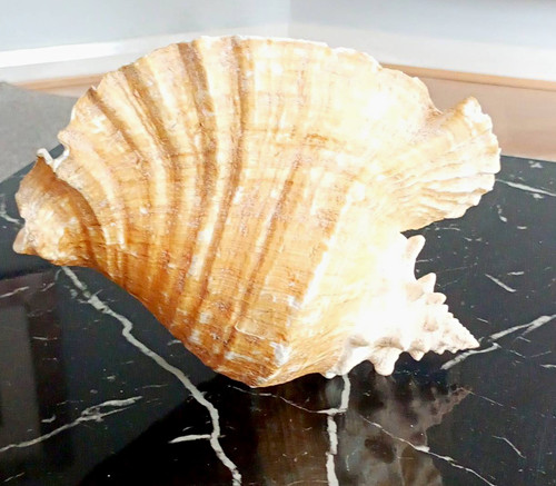 Large natural unpolished - natural,