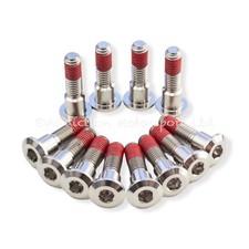 12x Triumph Daytona 955i