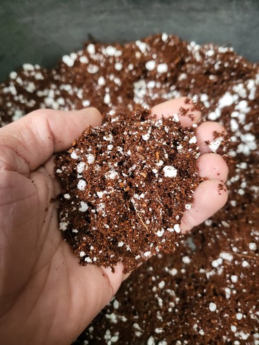 Premium ready use - use, coco