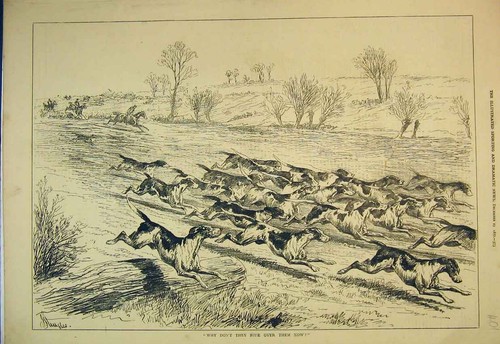 Original old antique print - antique,