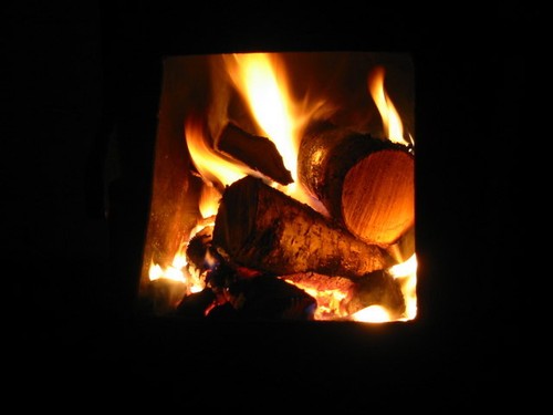 Photo 6x4 pot - pot, pig