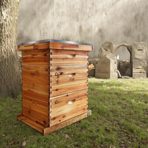 Frame wooden bee - bee, hive