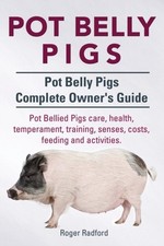 Radford - Pot Belly Pigs. Pot