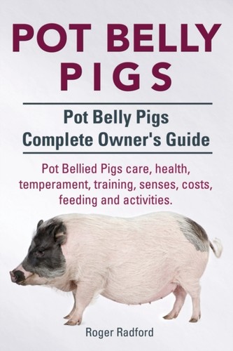 Radford pot belly pigs - radford, pigs.
