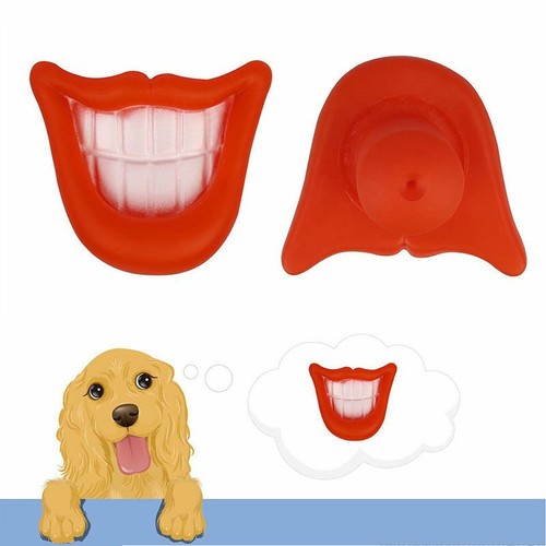 Funny lip dummy pet dog - pet,
