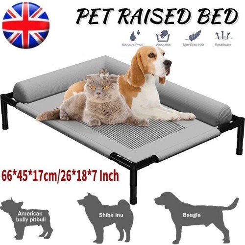 Orthopaedic elevated pet - orthopaedic,