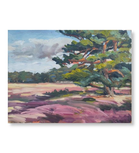 Heather field and pine - a,